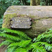 Review photo of Mill Creek Campground — Del Norte Coast Redwoods State Park by Kalli W., June 16, 2023