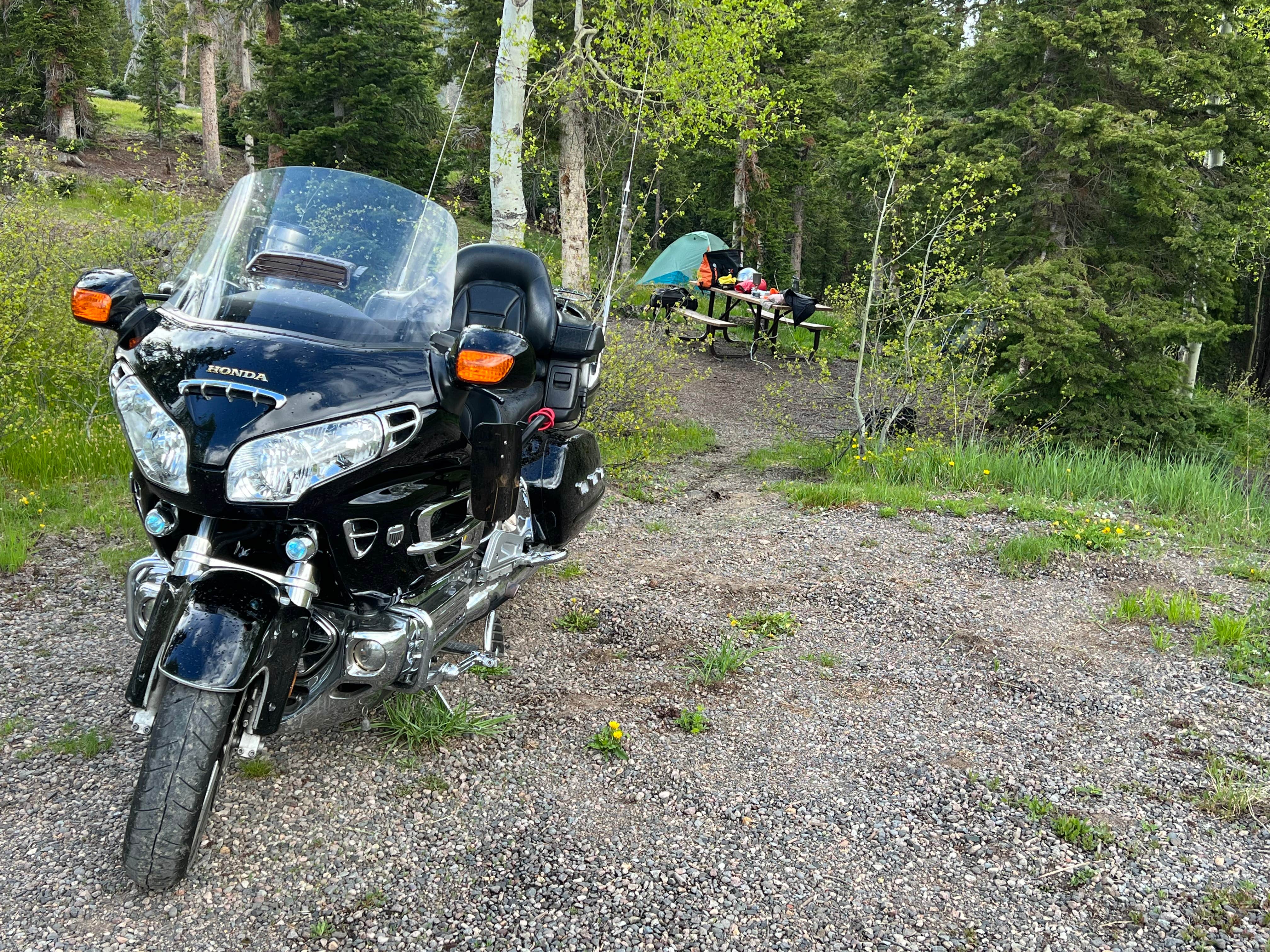 Camper submitted image from Tucker Ponds Campground - 4