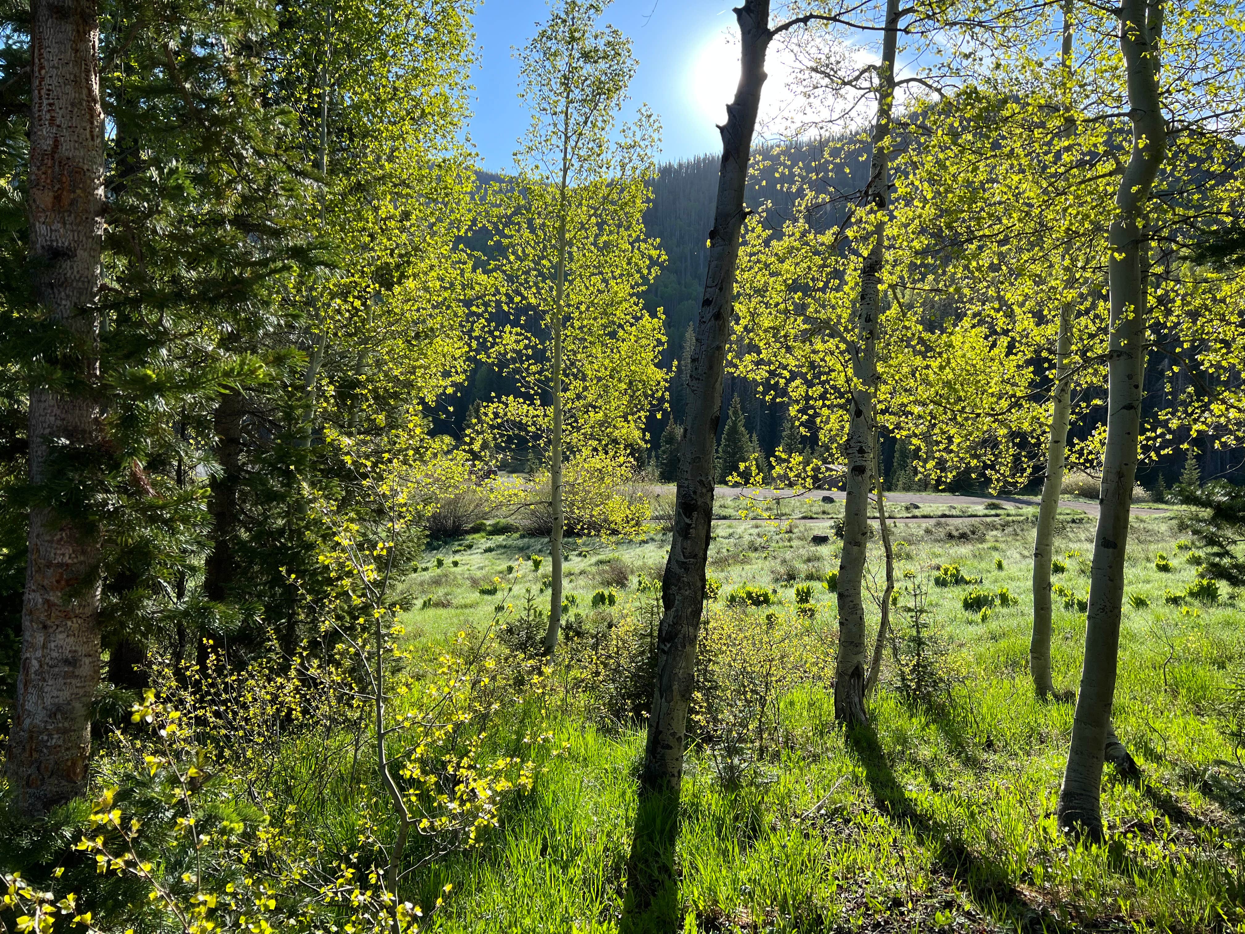Camping near Schinzel Flats - Glamping Redefined!: Tucker Ponds Campground, Rio Grande National Forest, Colorado