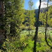 Review photo of Tucker Ponds Campground by Pondering W., June 16, 2023