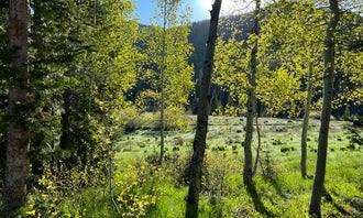 Camping near West Fork Campground: Tucker Ponds Campground, Rio Grande National Forest, Colorado