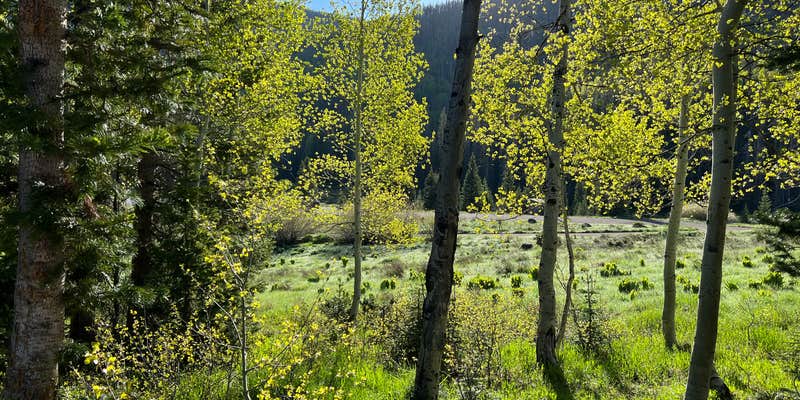 Camper submitted image from Tucker Ponds Campground
