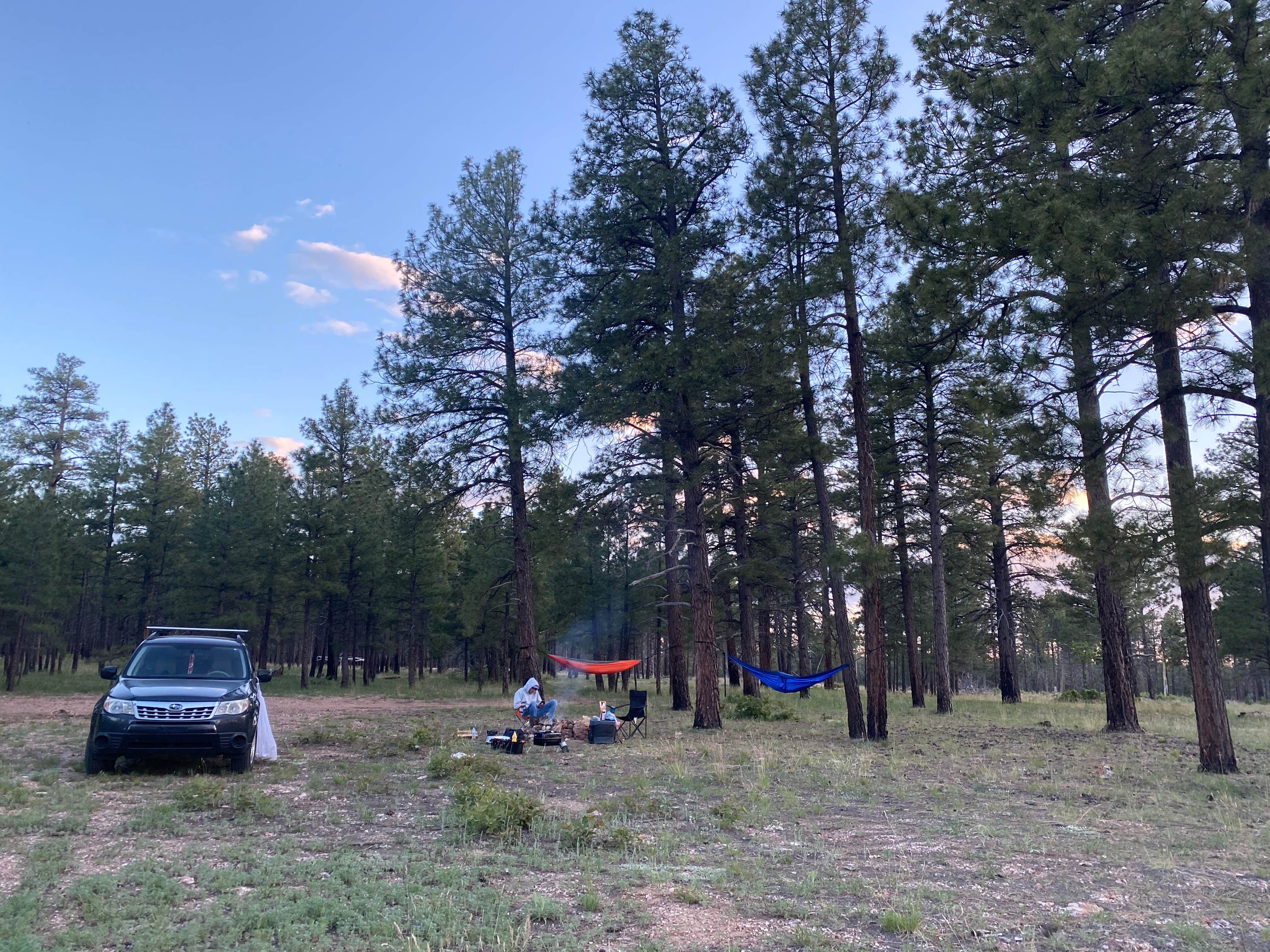 Salo C.'s photo at Coconino Rim Road Dispersed Camping near Tuba City, AZ