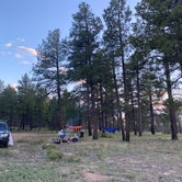 Review photo of Coconino Rim Road Dispersed Camping by Salo C., June 16, 2023