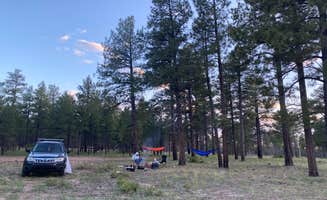 Salo C.'s photo at Coconino Rim Road Dispersed Camping near Tuba City, AZ