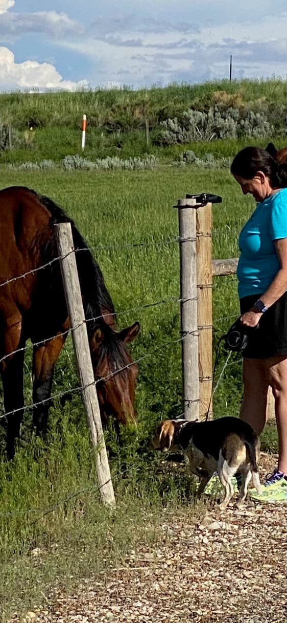 Melanie T.'s photo of camping with pets at Cody Trout Ranch Camp - RV, Tipi, and Sheep Wagon Camping near Meeteetse, WY