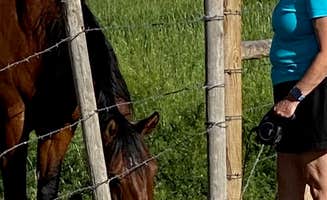 Melanie T.'s photo of camping with pets at Cody Trout Ranch Camp - RV, Tipi, and Sheep Wagon Camping near Frannie, WY