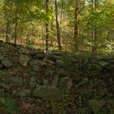 Review photo of Giant City State Park Campground by Larry J., October 17, 2018