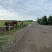 Review photo of Cody Trout Ranch Camp - RV, Tipi, and Sheep Wagon Camping by Melanie T., June 16, 2023