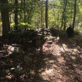 Review photo of Giant City State Park Campground by Larry J., October 17, 2018