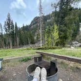 Review photo of Lincoln Creek Dispersed Campground by Candace G., June 16, 2023
