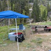Review photo of Lincoln Creek Dispersed Campground by Candace G., June 16, 2023