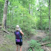 Review photo of Giant City State Park Campground by Larry J., October 17, 2018