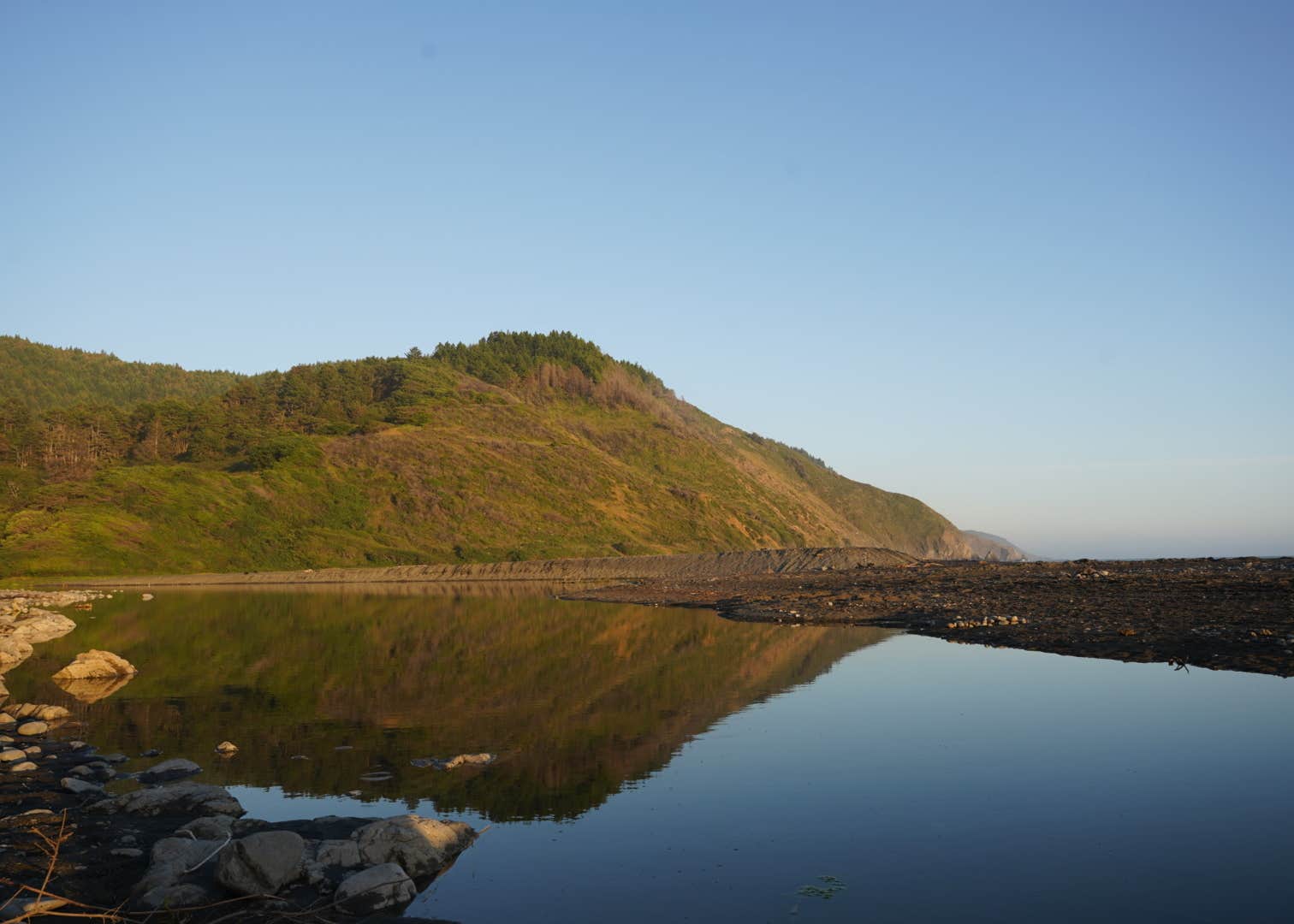 View All