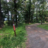 Review photo of Big Meadows Campground — Shenandoah National Park by Roger W., June 11, 2023