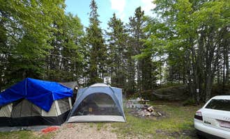 Camping near Swedish Cottage: McClellan Park, Milbridge, Maine