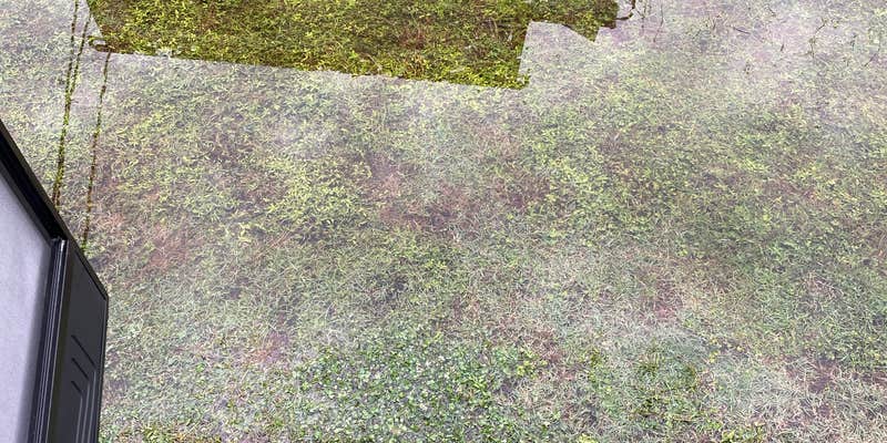 Camper submitted image from Chesapeake Campground