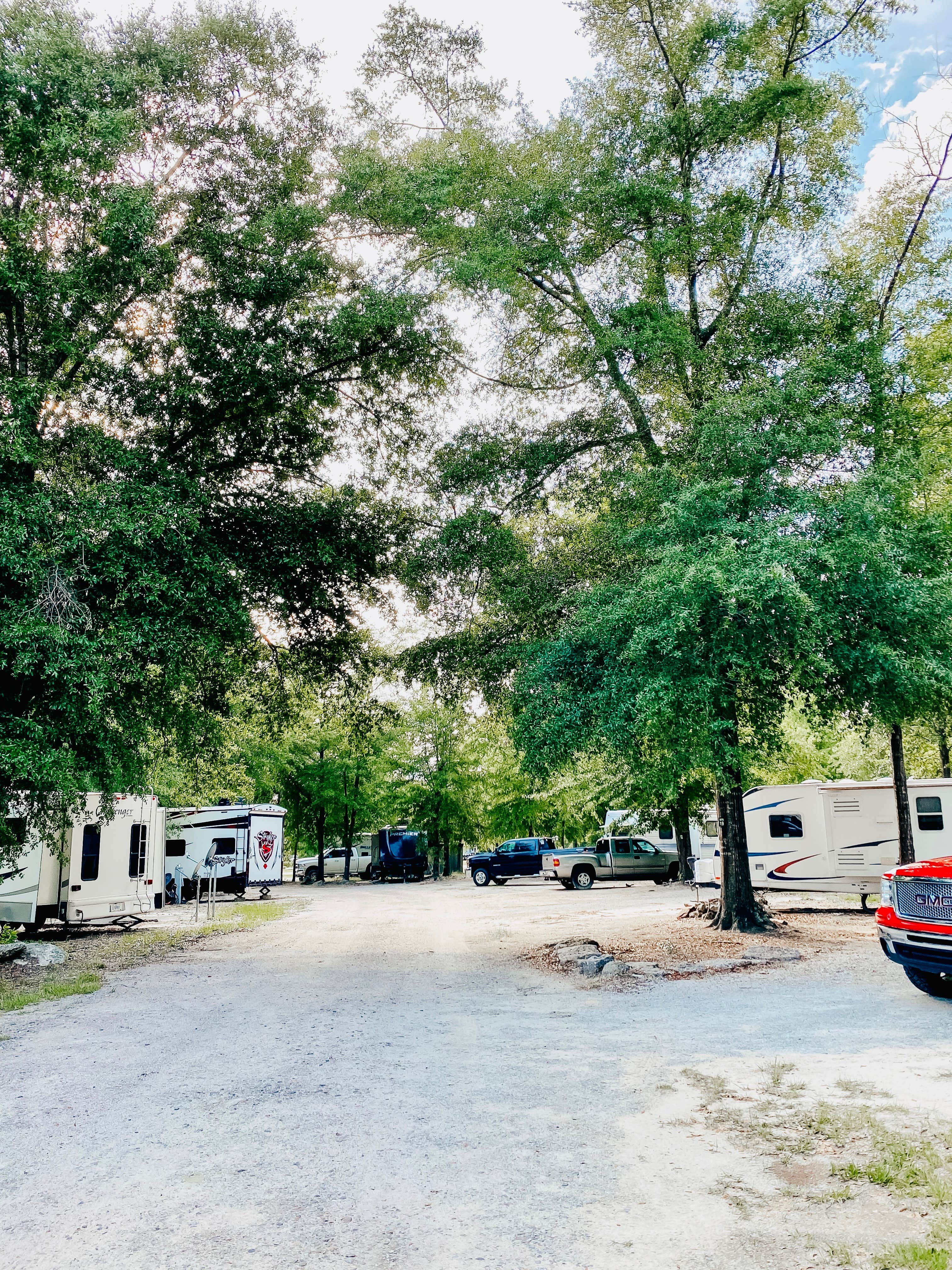 Camper-submitted photo at Made in the Shade RV Park and Campground near Allendale, SC