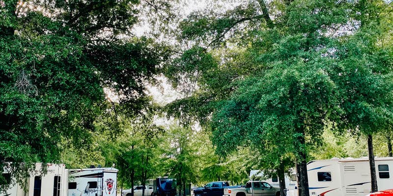 Camper submitted image from Made in the Shade RV Park and Campground