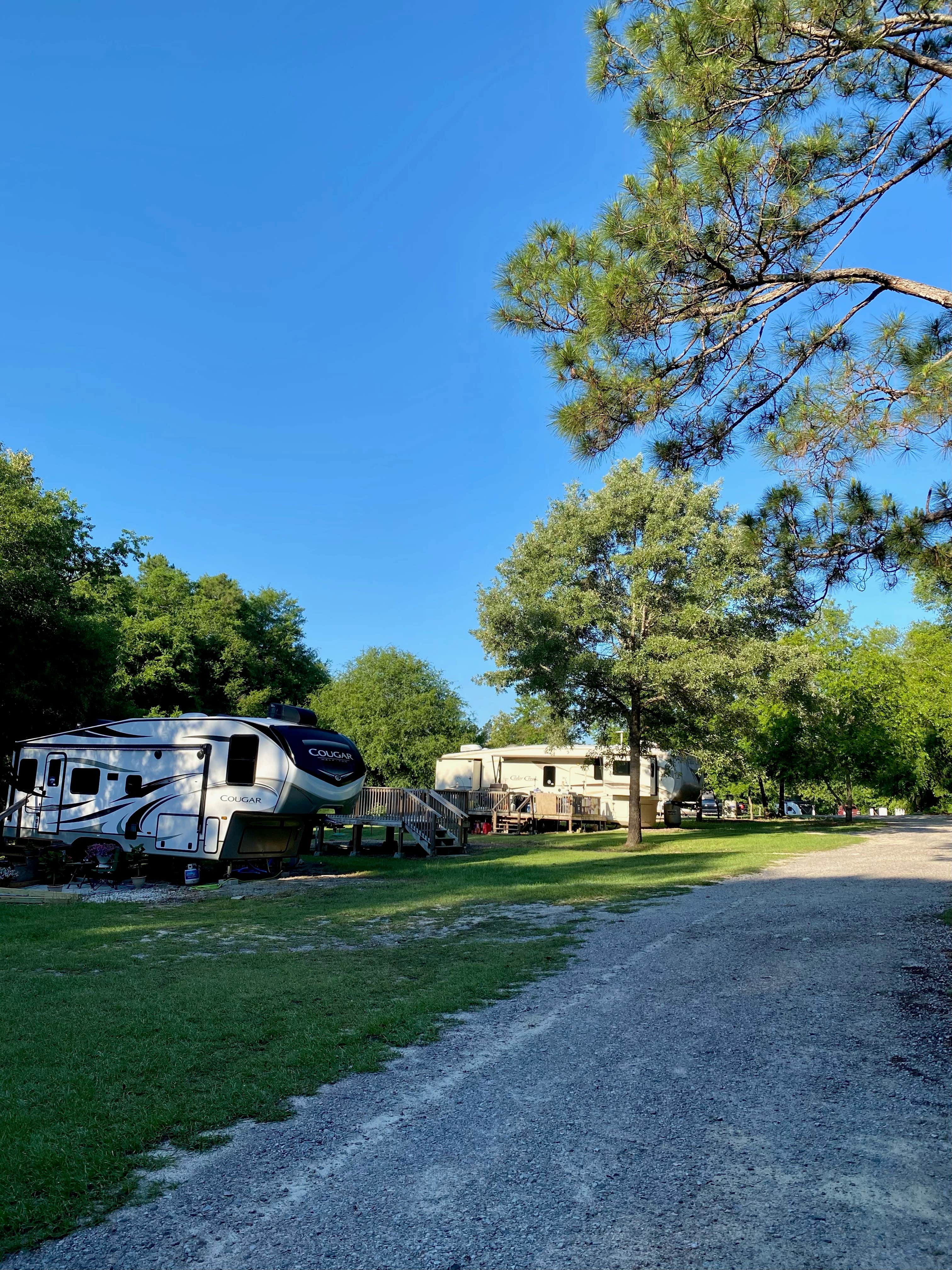 Camper-submitted photo at Made in the Shade RV Park and Campground near Allendale, SC