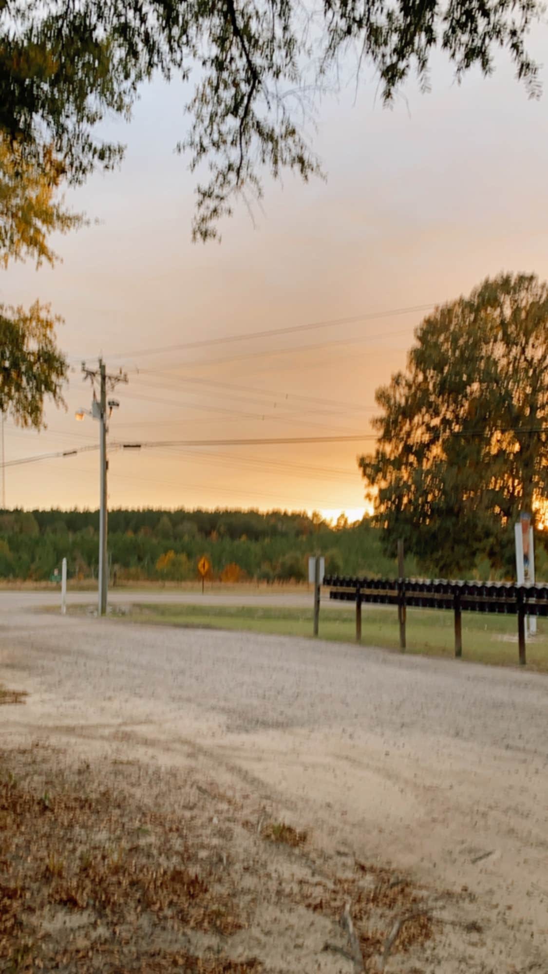 Camper-submitted photo at Made in the Shade RV Park and Campground near Allendale, SC