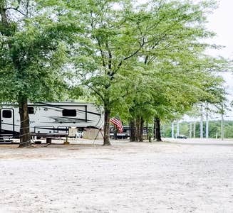 Camper-submitted photo from Made in the Shade RV Park and Campground