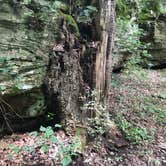 Review photo of Giant City State Park Campground by Larry J., October 17, 2018