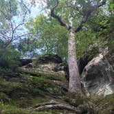 Review photo of Giant City State Park Campground by Larry J., October 17, 2018