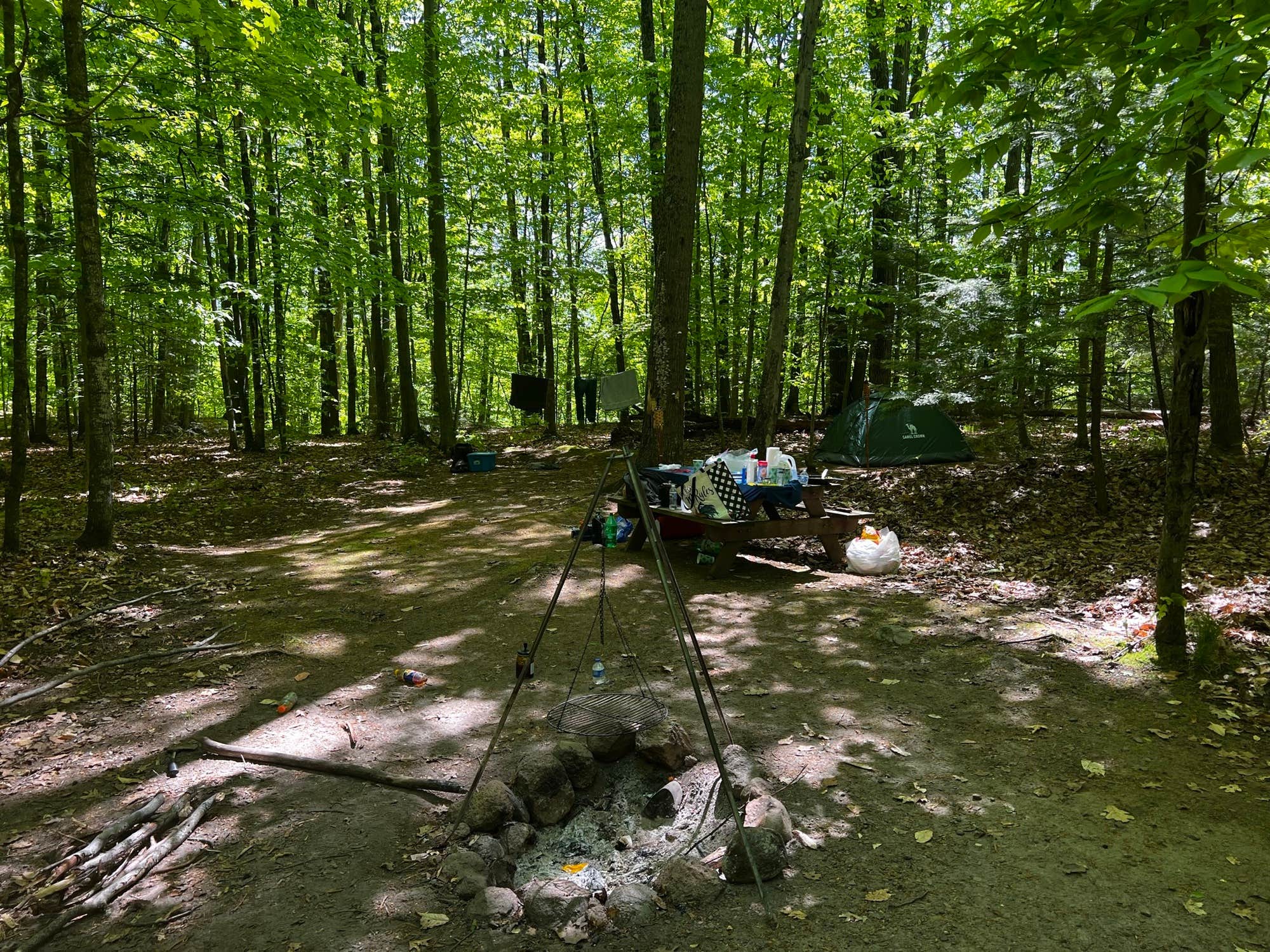 The Dyrt's photo at River Forest Campground And Outdoor Retreats near Deerbrook, WI