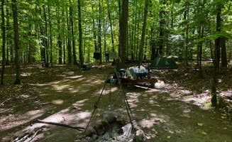 The Dyrt's photo at River Forest Campground And Outdoor Retreats near Pearson, WI