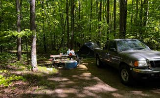 The Dyrt's photo at River Forest Campground And Outdoor Retreats near Summit Lake, WI