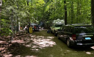 The Dyrt's photo at River Forest Campground And Outdoor Retreats near Lakewood, WI