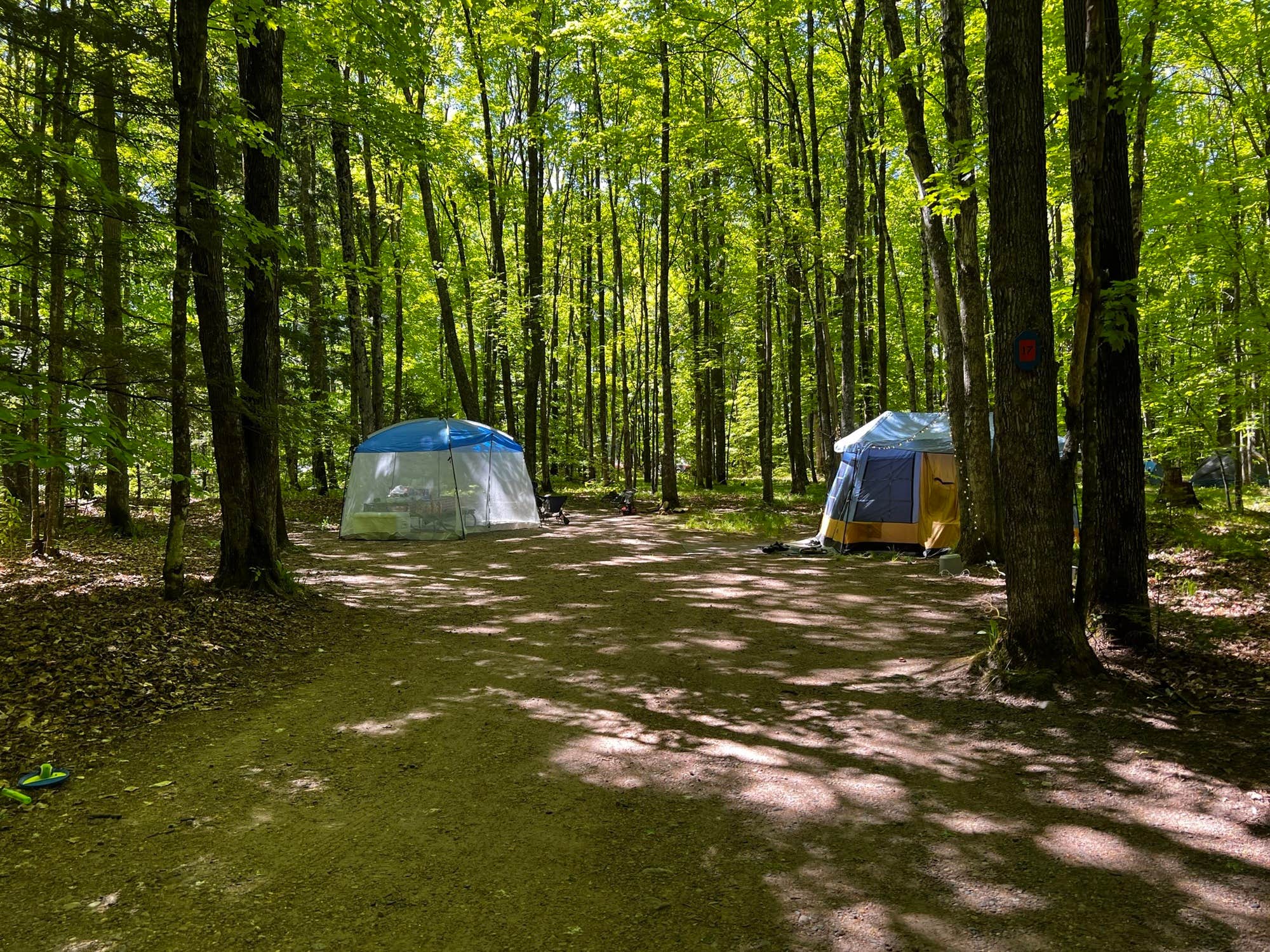 The Dyrt's photo at River Forest Campground And Outdoor Retreats near Pulaski, WI