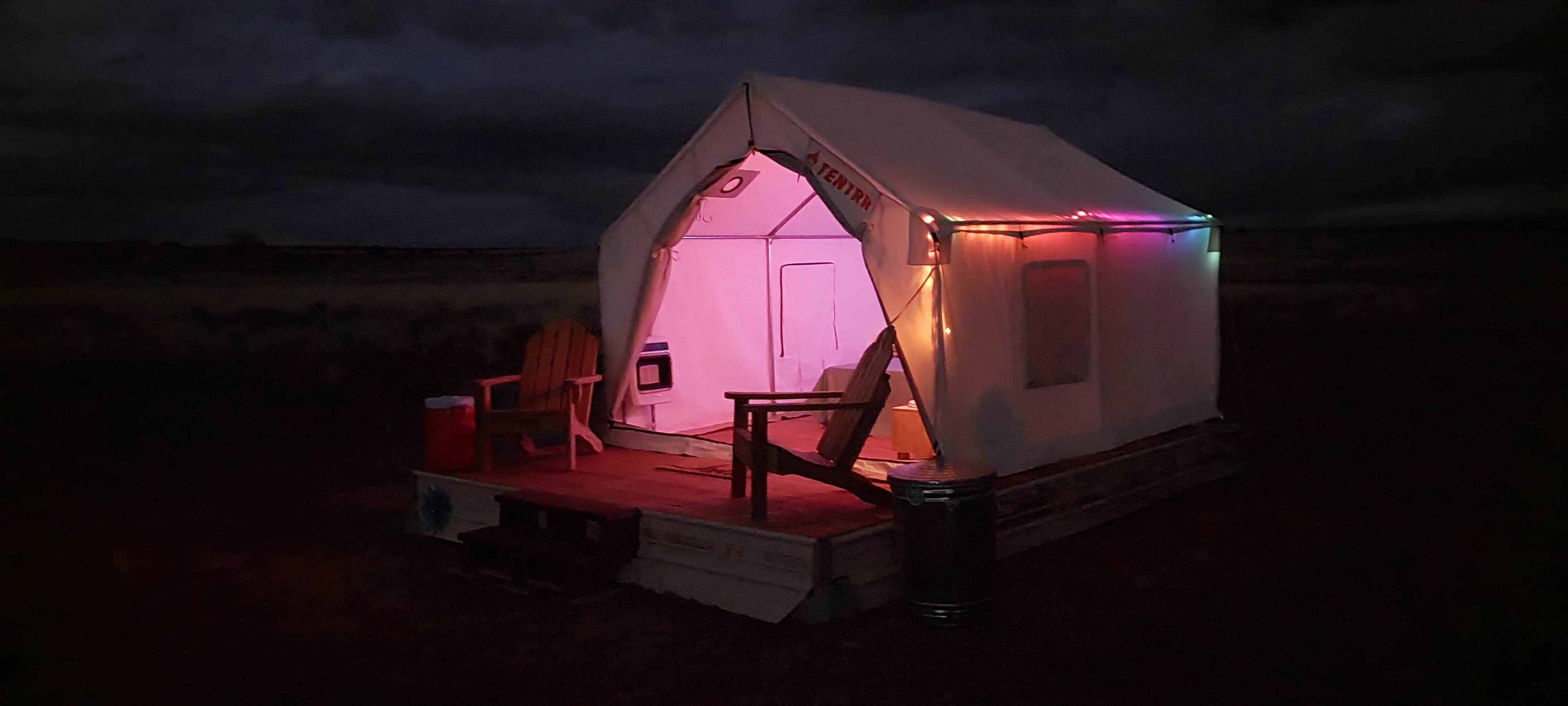 The Dyrt's photo at Tentrr Signature Site - Million Stars Campsite in Petrified Forest - Bliss near Mentmore, NM