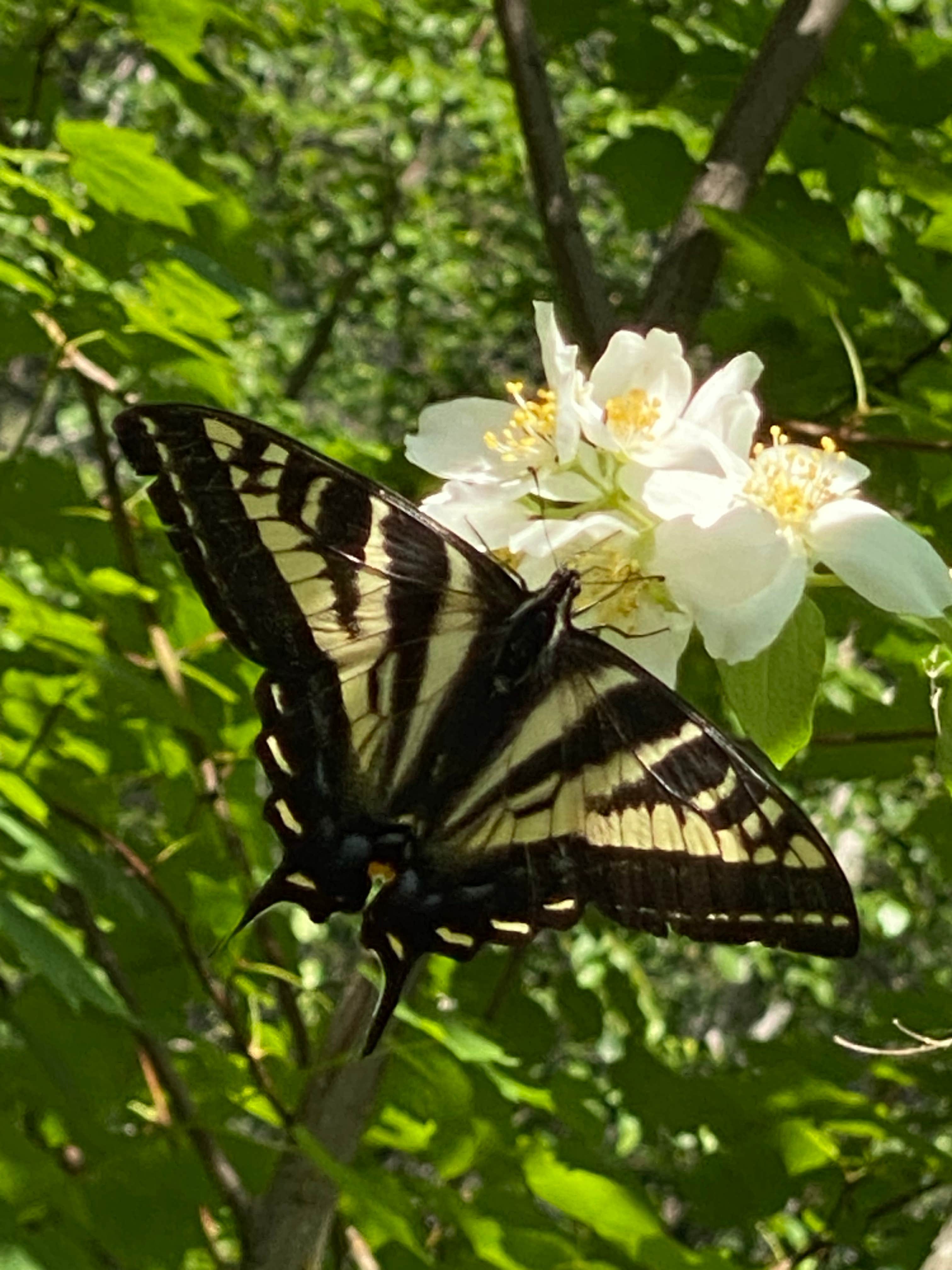 Camper-submitted photo at Upper Columbia RV Park and Campground near Boyds, WA