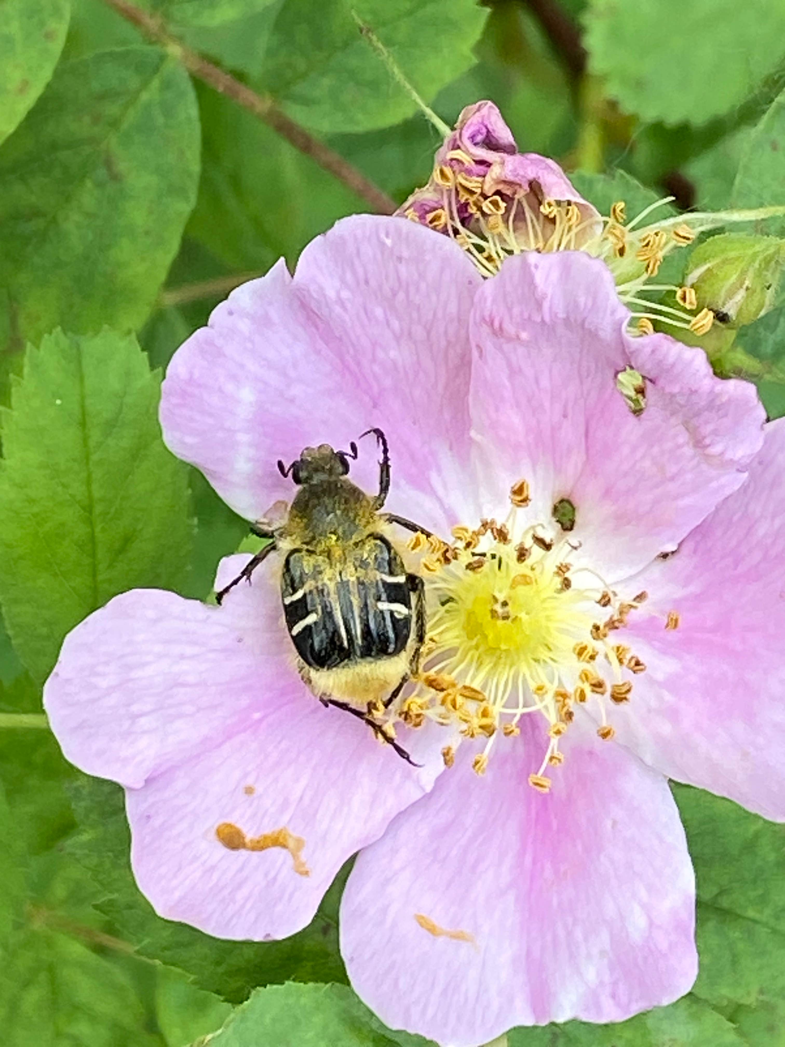 Camper-submitted photo at Upper Columbia RV Park and Campground near Boyds, WA