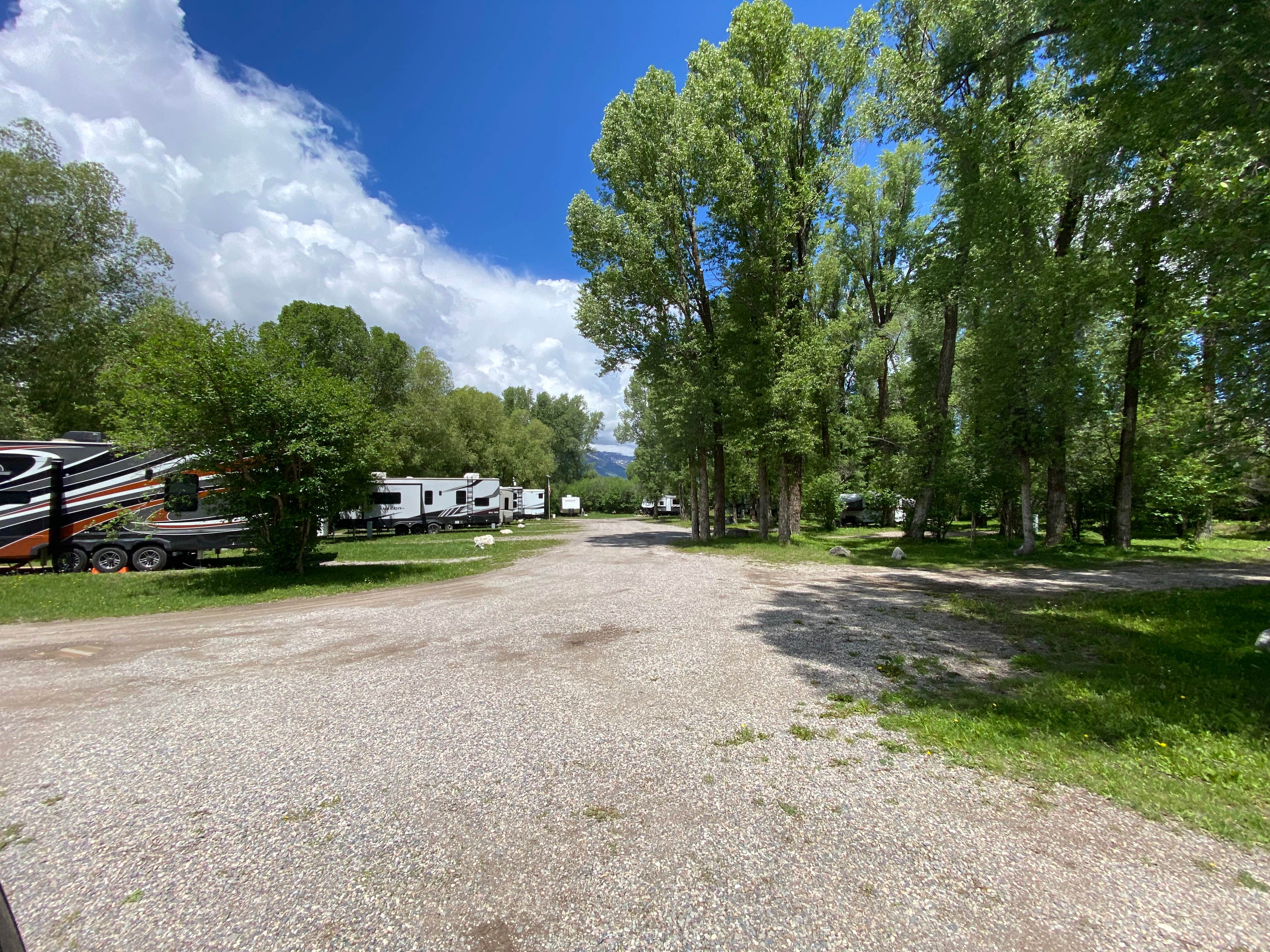 Melanie T.'s photo of camping with pets at Fireside Resort at Jackson Hole near Driggs, ID