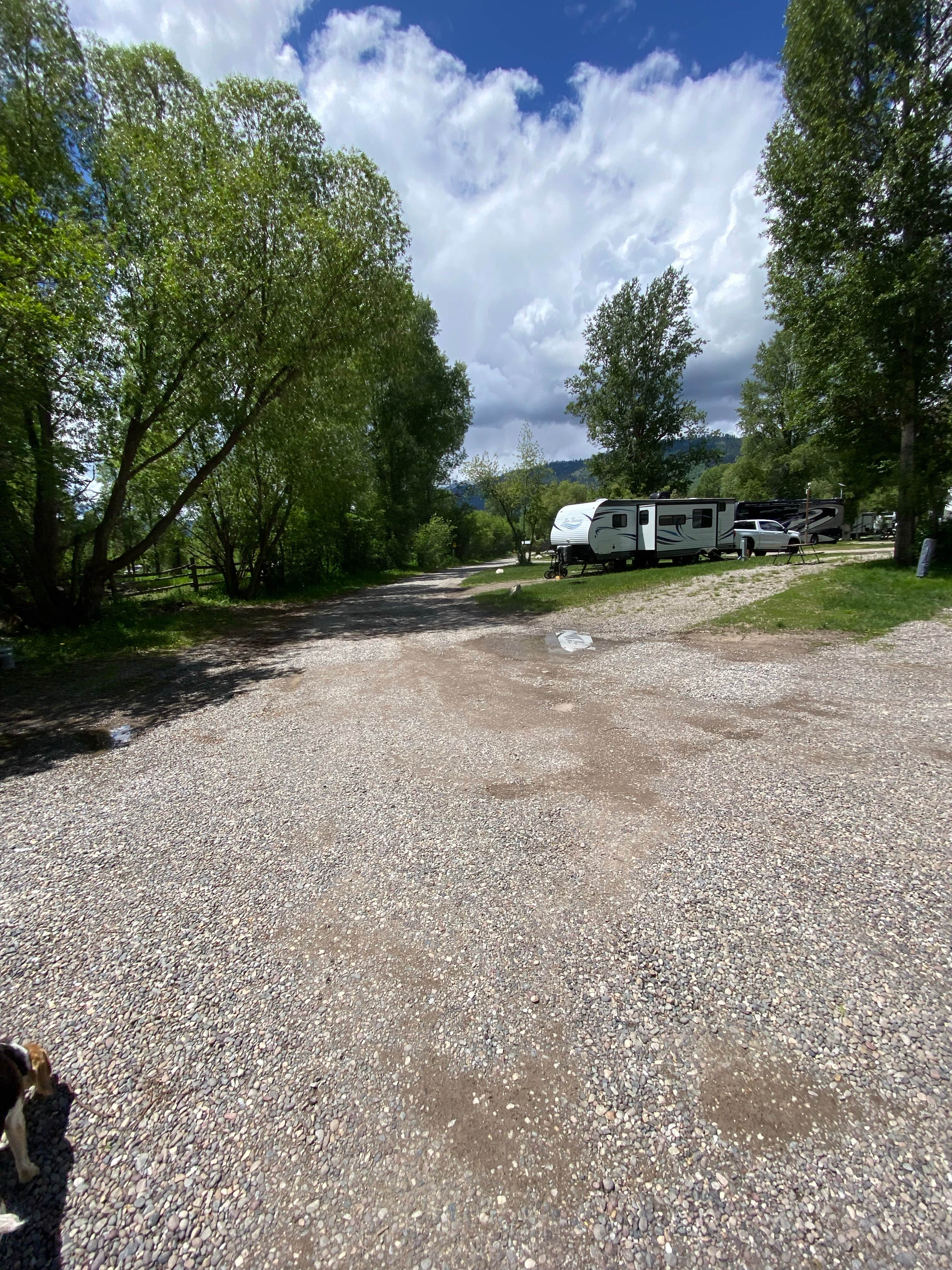 Melanie T.'s photo of rv camping at Fireside Resort at Jackson Hole near Kelly, WY