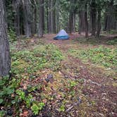 Review photo of Ranger Creek Airstrip Dispersed by Nicholas P., June 17, 2023