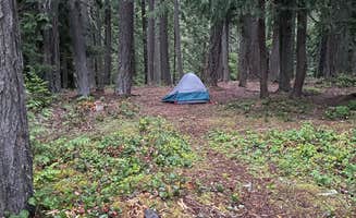 Nicholas P.'s photo of a dispersed camping area at Ranger Creek Airstrip Dispersed near Snoqualmie Pass, WA