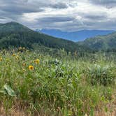 Review photo of Okanogan-Wenatchee National Forest Dispersed Camping on Derby Rd NF7400 by Jackie C., June 17, 2023