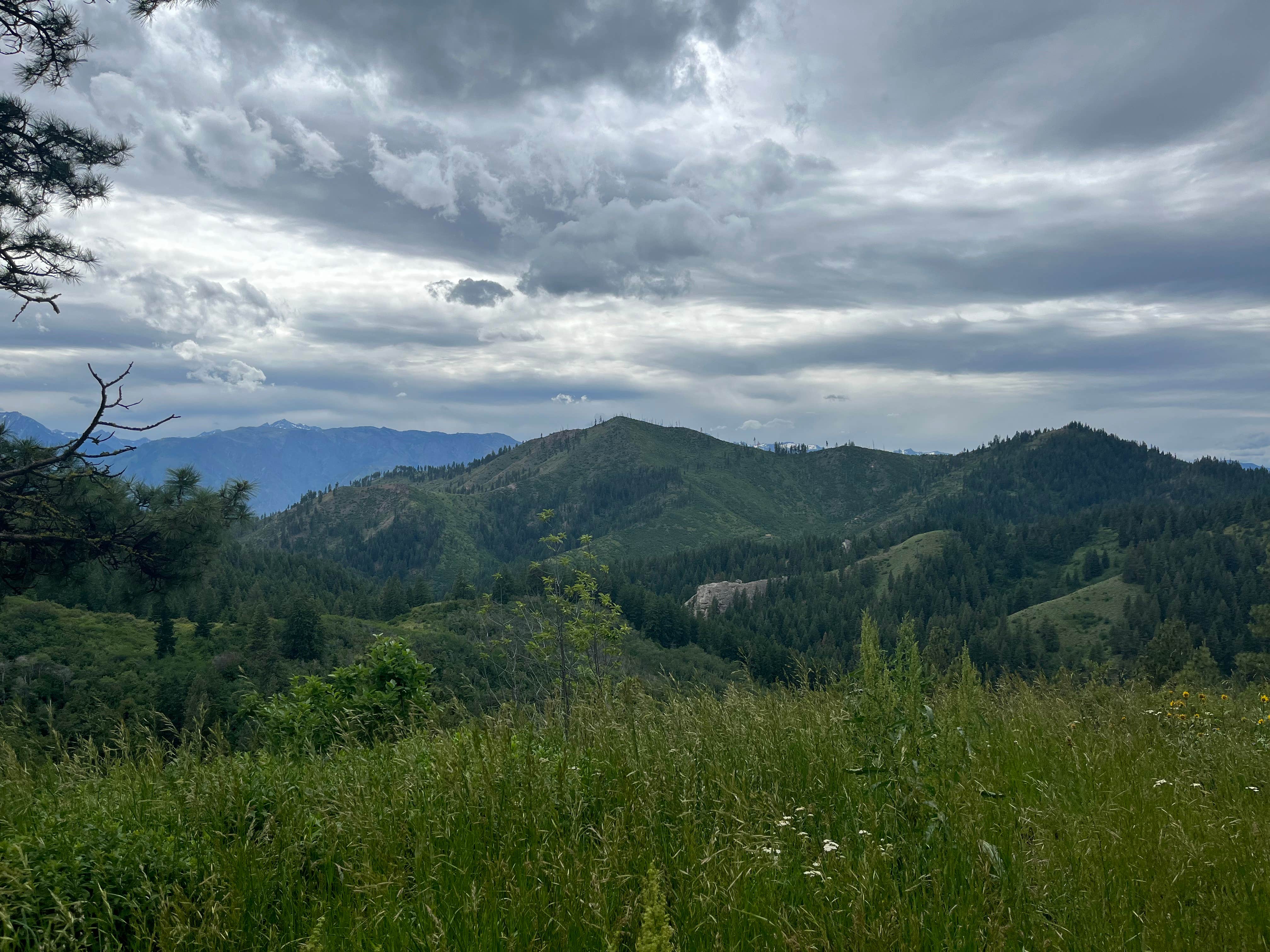 Camper submitted image from Okanogan-Wenatchee National Forest Dispersed Camping on Derby Rd NF7400 - 1