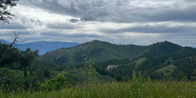 Camper submitted image from Okanogan-Wenatchee National Forest Dispersed Camping on Derby Rd NF7400