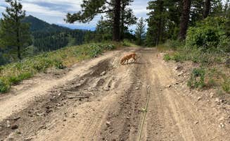 Jackie C.'s photo of camping with pets at Okanogan-Wenatchee National Forest Dispersed Camping on Derby Rd NF7400 near Wenatchee, WA