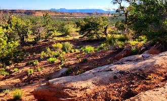 Camping near Old Highway Rd - Dispersed Camping: Snow Flat Camp 13 - Bears Ears, Mexican Hat, Utah