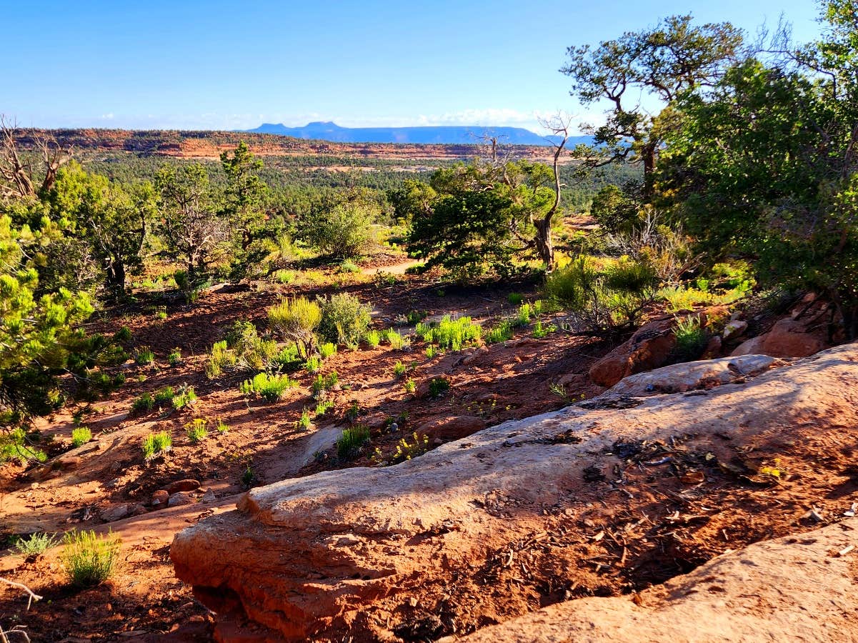 Camper submitted image from Snow Flat Camp 13 - Bears Ears - 1