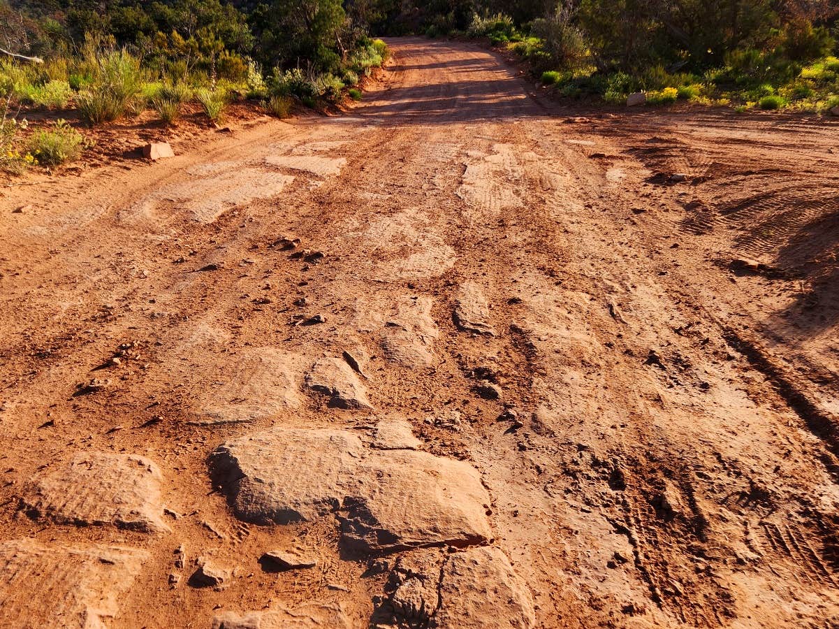 Camper submitted image from Snow Flat Camp 13 - Bears Ears - 4