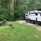 Review photo of Smith Mountain Campground by Katie , June 17, 2023