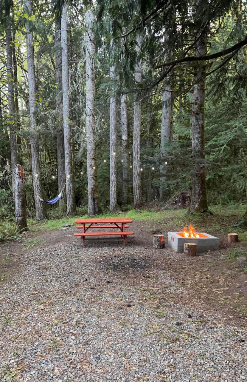 Yurts in olympic national park sale