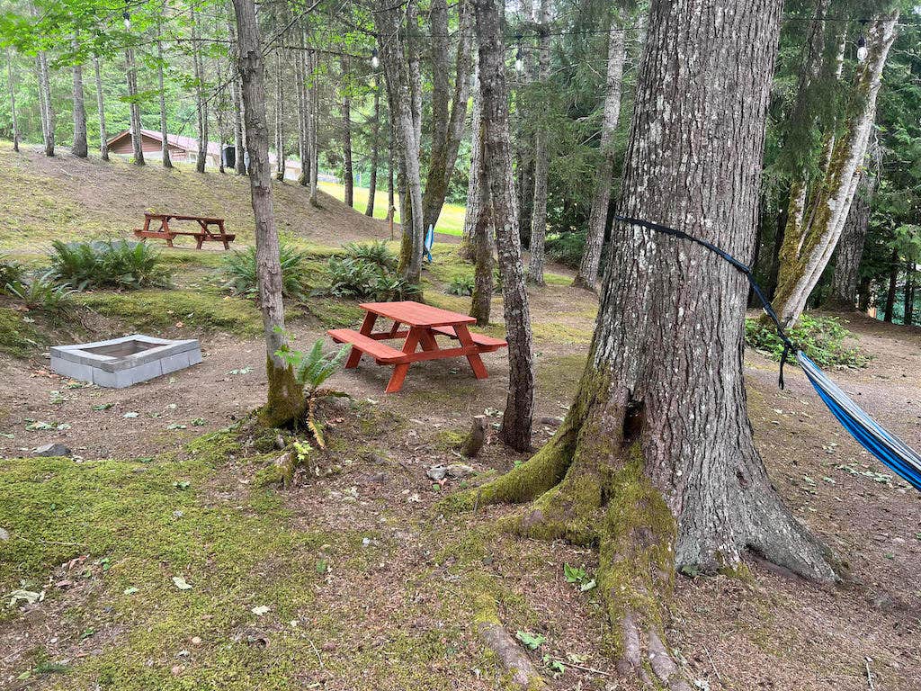 Camper-submitted photo at Shadow Mountain RV Park and Campground near Port Angeles, WA